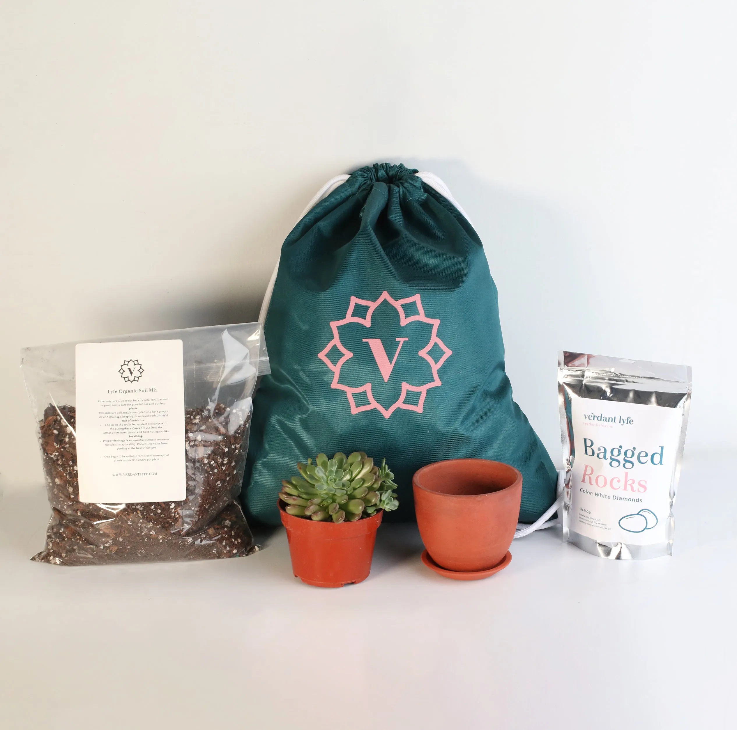 Back to School Repot Bundle