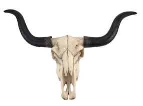 Bison Skull