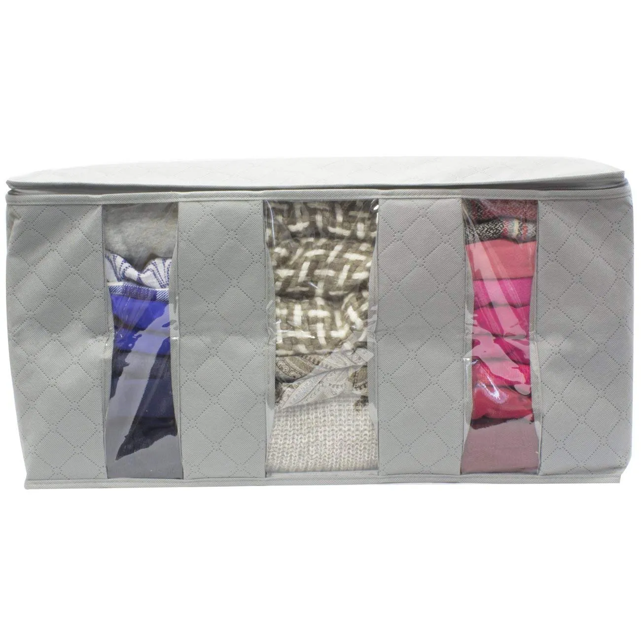 Foldable Storage Bag Organizers (Single)