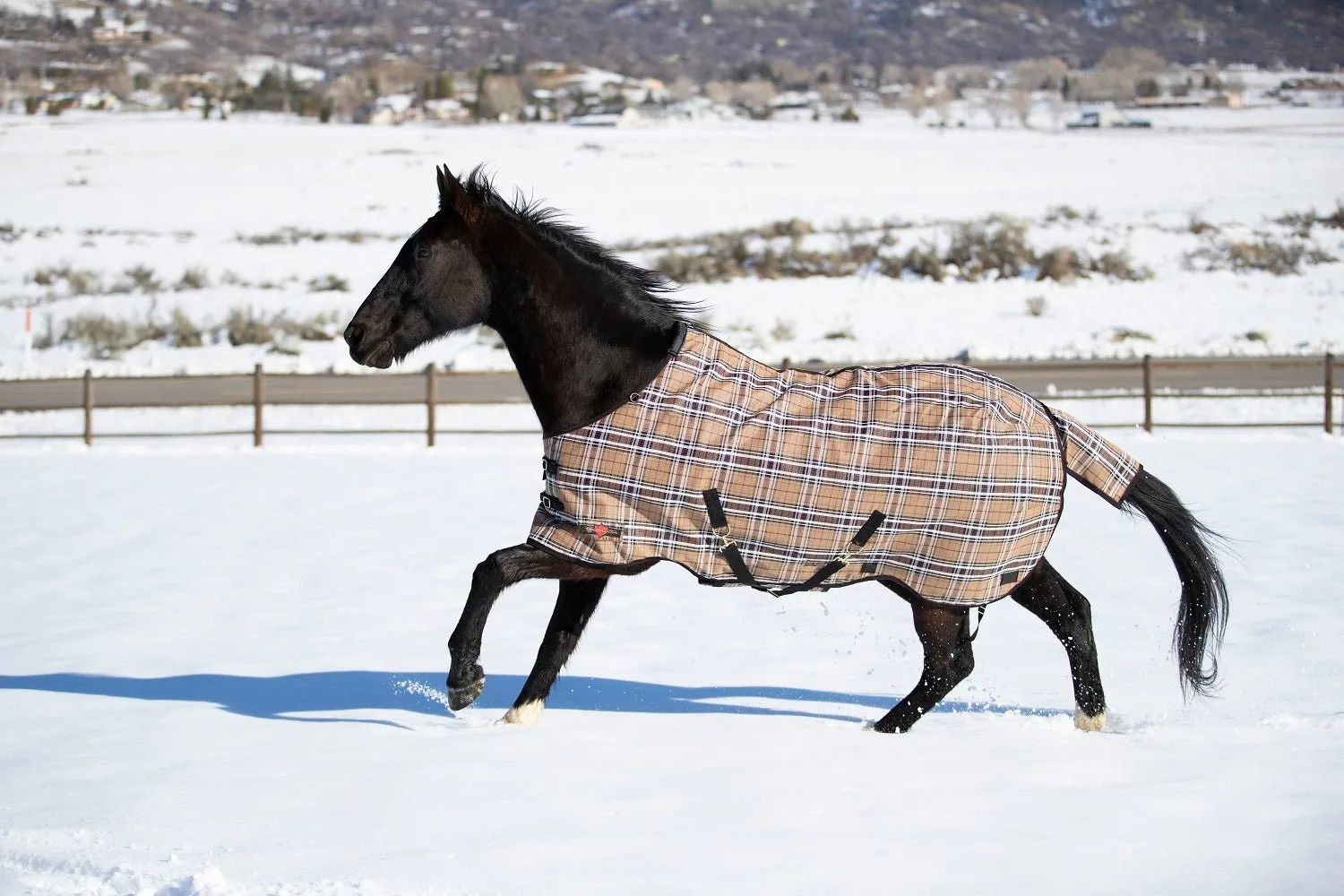 Kensington Platinum SuperMesh Turnout Blanket