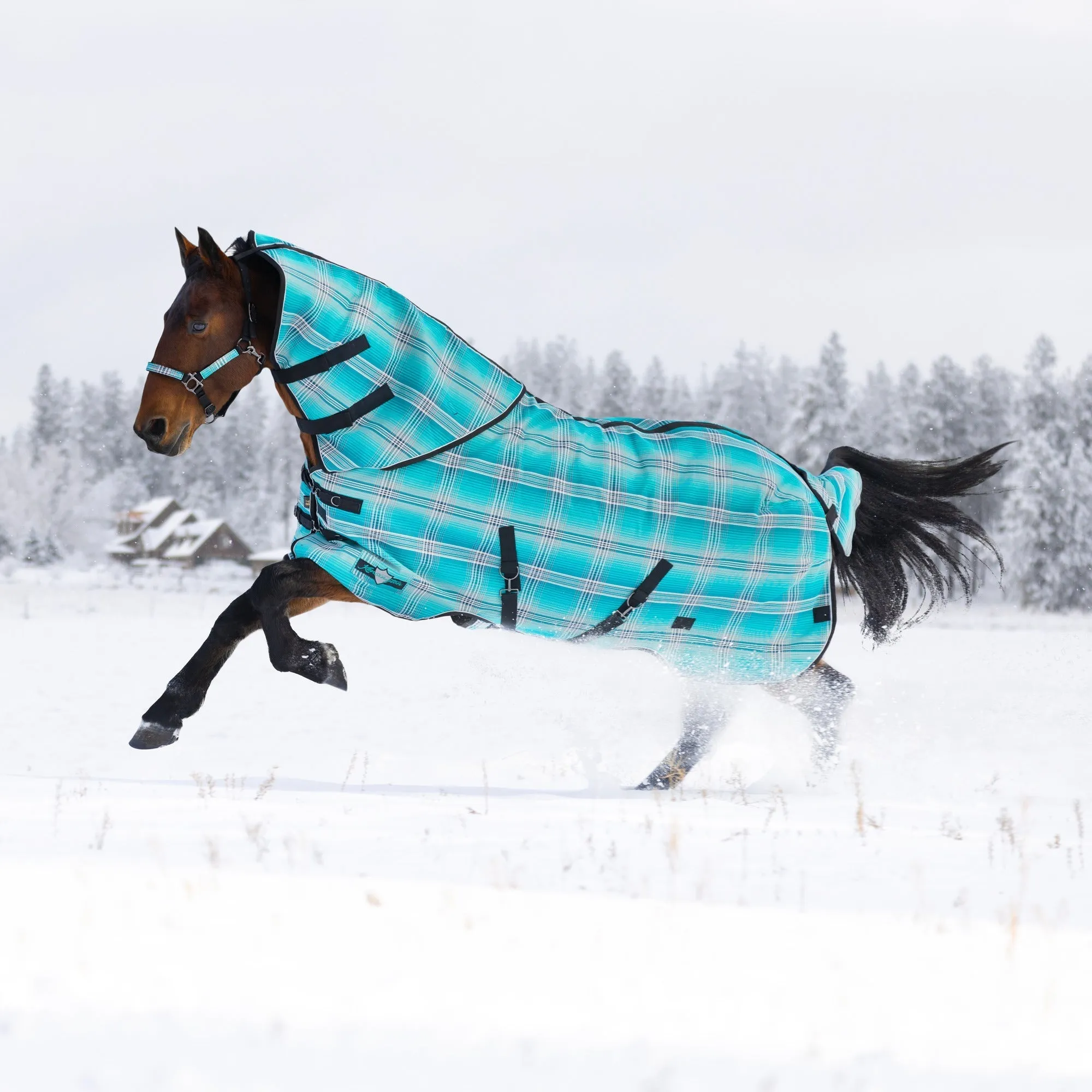 Kensington Platinum SuperMesh Turnout Blanket