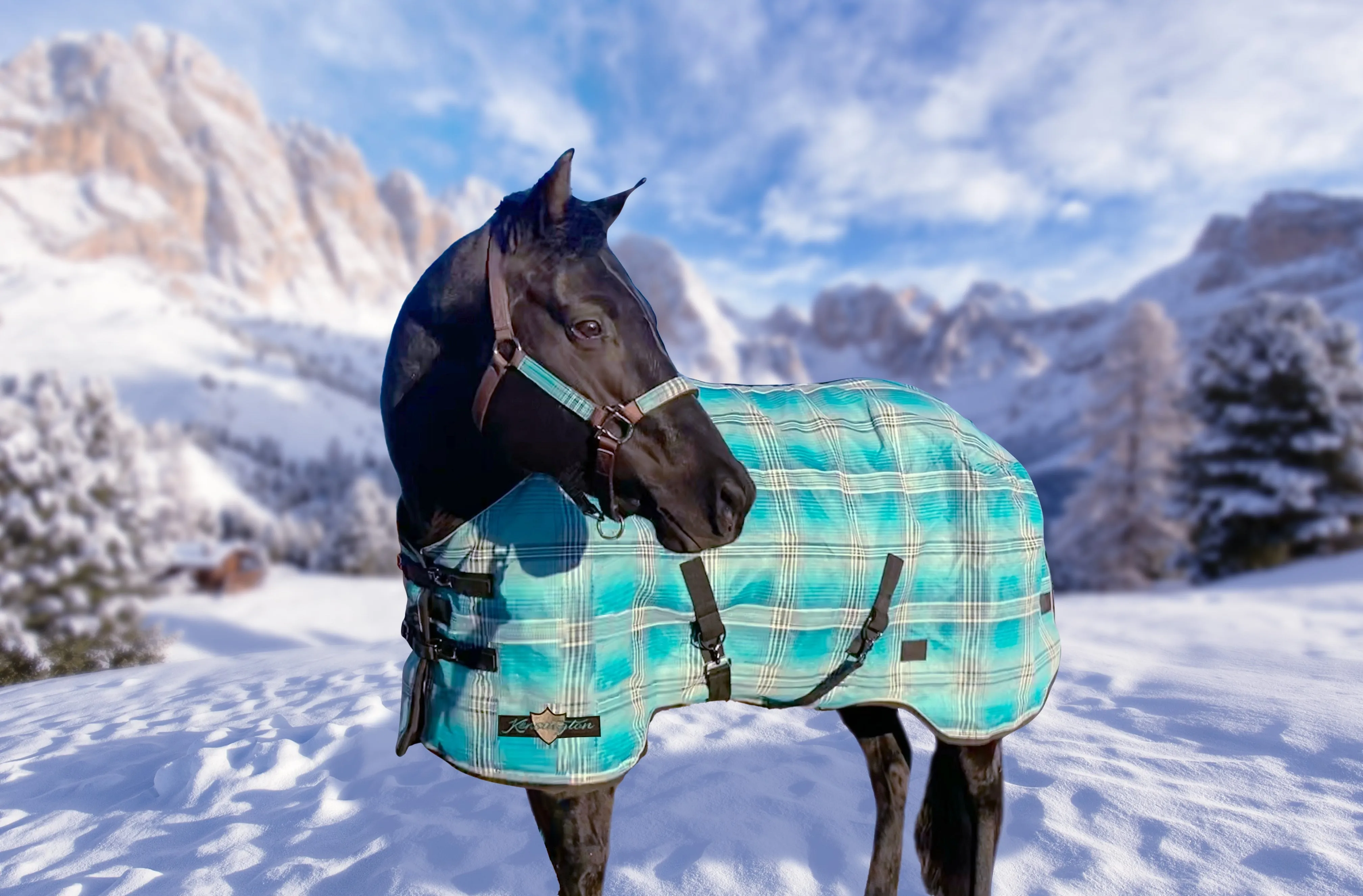 Kensington Platinum SuperMesh Turnout Blanket