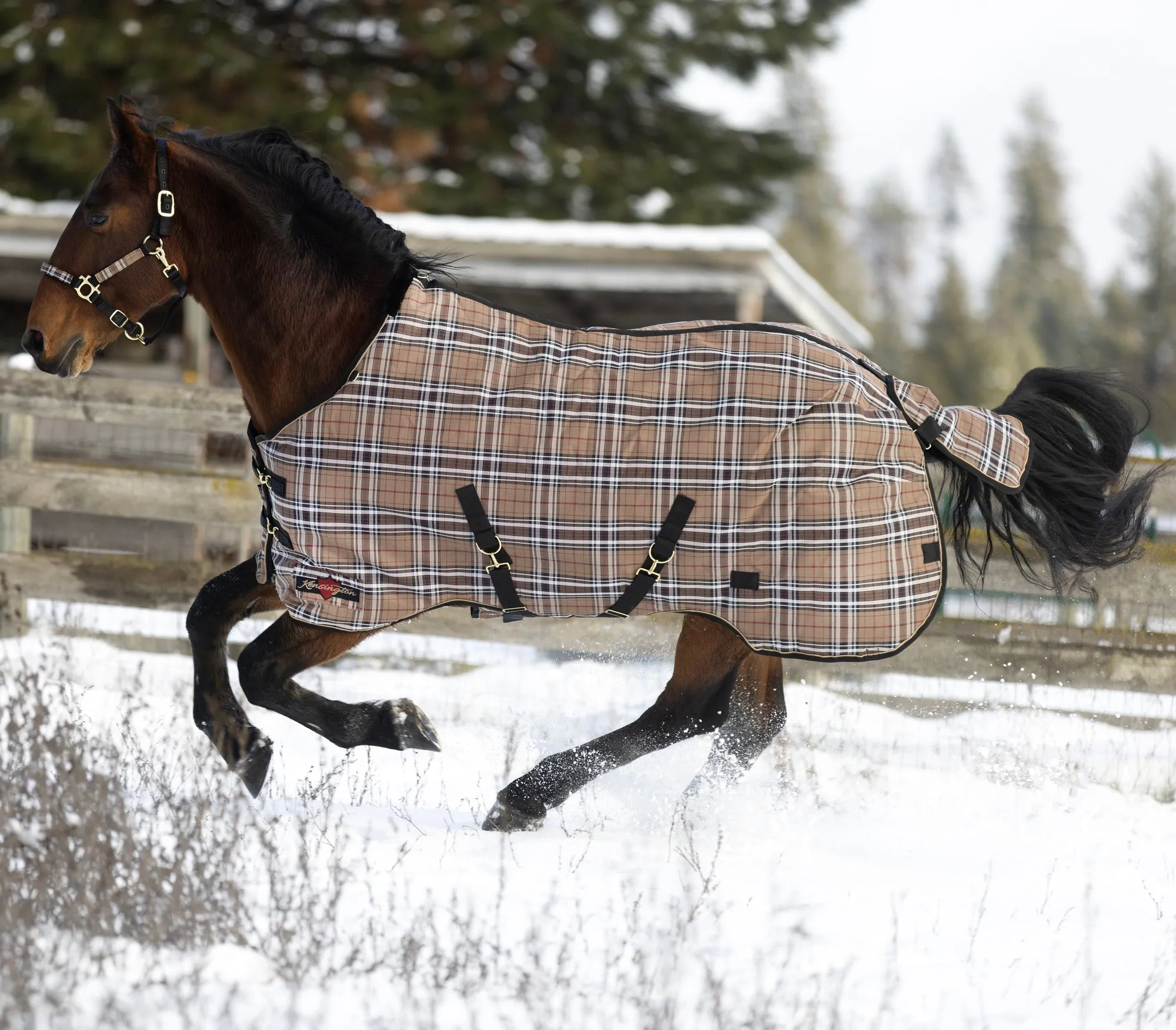 Kensington Platinum SuperMesh Turnout Blanket