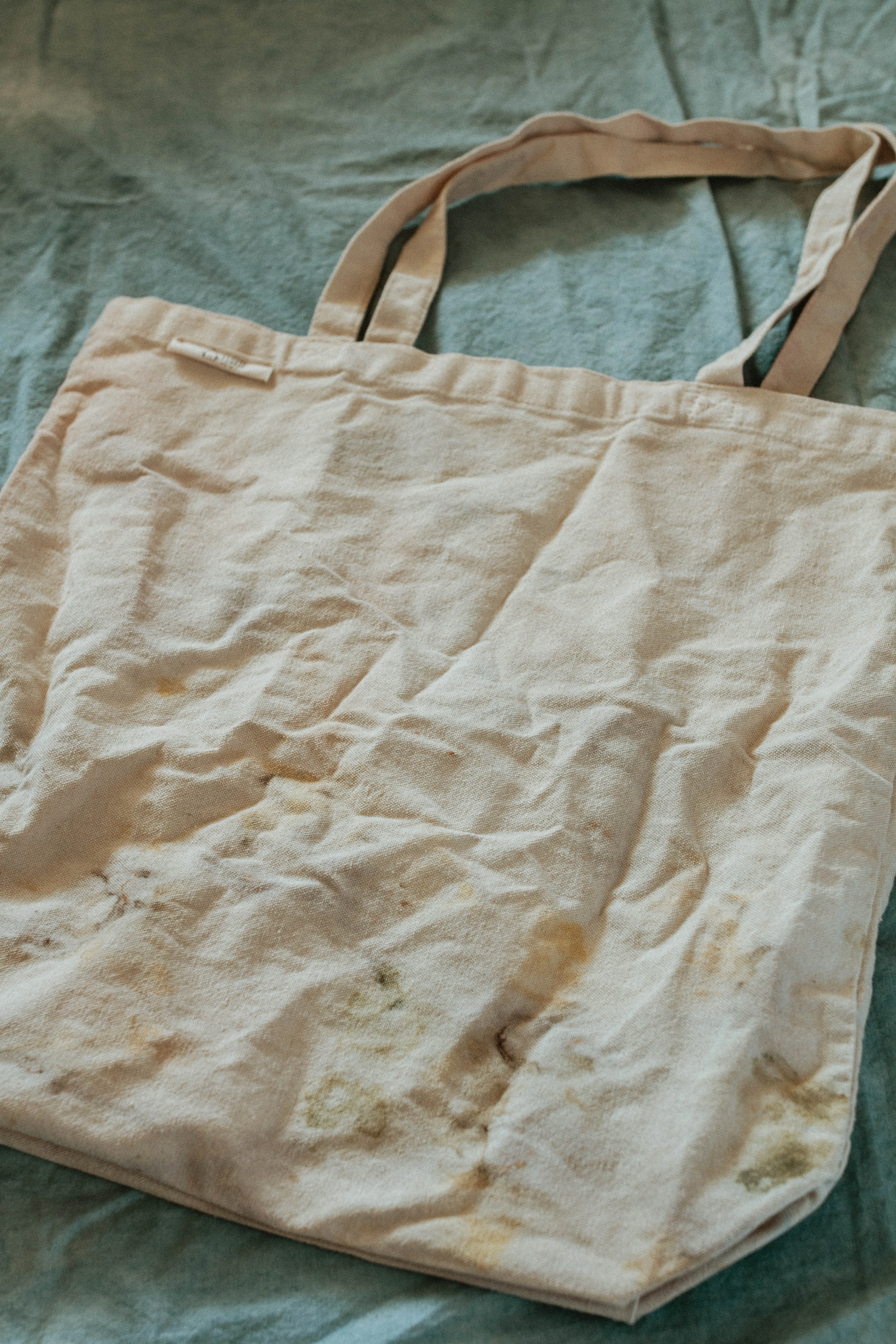 Plant Dyed cotton Canvas Tote - Neutral earthy tones