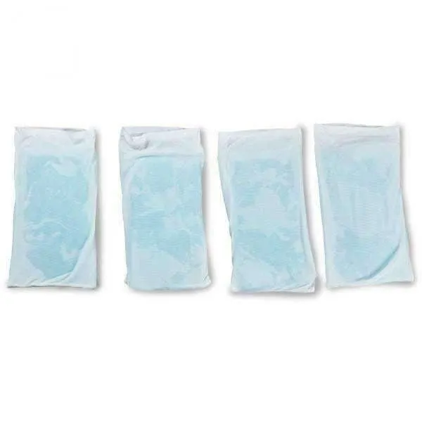 Polar Skin Ice C2E Ice Pack Kit